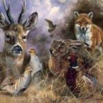 Profile Picture of kevinfrater (@kevin_frater) on Instagram