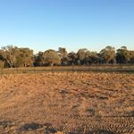 Monique Larkins - Instagram Profile Picture of Monique Larkins (@monique_rules2) on Instagram