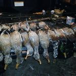 Profile Picture of Kenny Hayes (@kenny.hayes.165) on Instagram