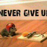 Profile Picture of Joshua Adonu (@joshuaadonu) on Instagram