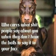 Profile Picture of Matt Starbuck (@matt_starbuck) on Twitter