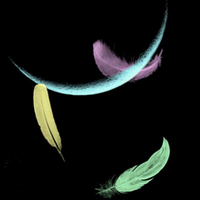 Profile Picture of Joshua Faustino (@Tealashes) on Twitter