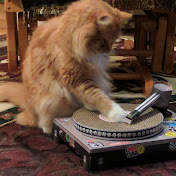 Profile Picture of Jon Weir (@understoodish) on Youtube