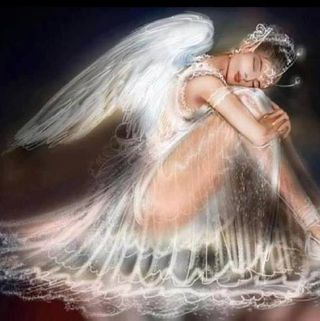 Profile Picture of Candise Schippert (@Candise-Schippert) on Facebook