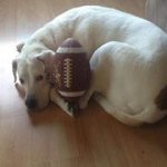 Profile Picture of Mary Dexter-Payne (@marydexter) on Instagram