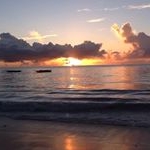 Profile Picture of Merredith Brewer (@merredithbrewer) on Instagram