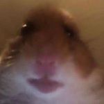 Profile Picture of Kevin Mcdonagh (@kevin_mcdick_) on Instagram