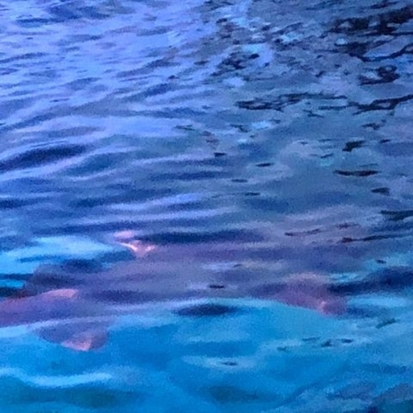 Randy Vick - Poshmark Profile Picture of Randy Vick (@randyvick792) on Poshmark