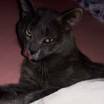 Profile Picture of Ana clara pedrosa ernesto (@claraernestoana) on Instagram