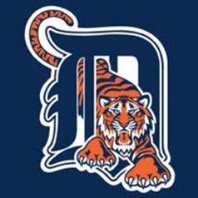 Profile Picture of Anne Pratt (@tigers505) on Twitter