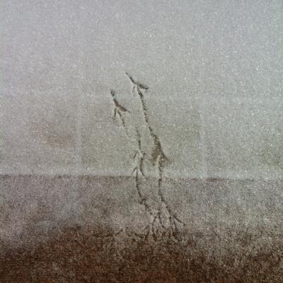 Profile Picture of Peter Mink (@Trekarl) on Twitter