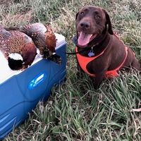 Profile Picture of Mark Helle (@mark-helle) on Quora