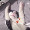 Profile Picture of Alexia Walters (@@alexiawalters) on Tiktok