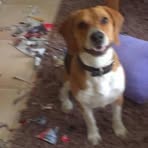 Profile Picture of Yvonne Jeskulke (@yvonne.jeskulke) on Facebook