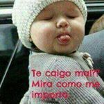 Profile Picture of rafael alzamora (@alzamorarafael7) on Instagram