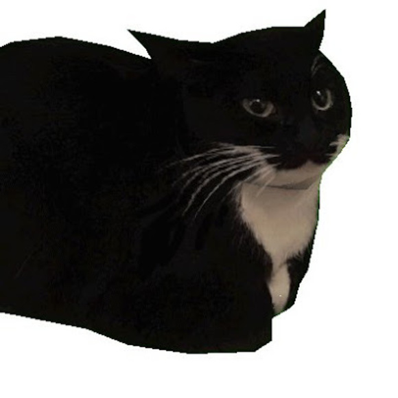 Profile Picture of Indie Romig (@bonguskumkle) on Poshmark