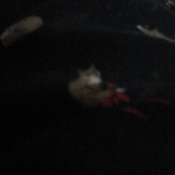 Profile Picture of Rasha Sharaf (@menamesbah) on Poshmark