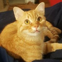 Profile Picture of Renee Osborn (@renee-osborn-2) on Quora