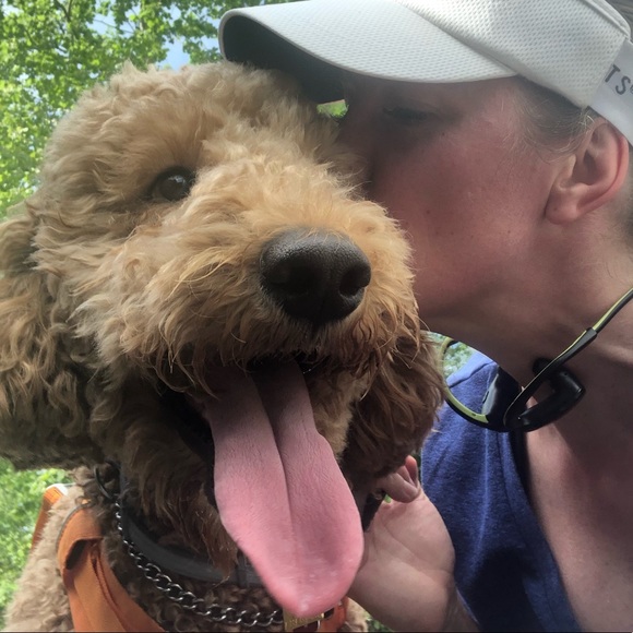 Profile Picture of Tara Fronczek (@tfronczek) on Poshmark