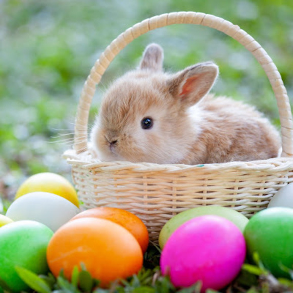 Profile Picture of Chloe Christopherson (@chloe_christo) on Poshmark