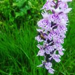 Profile Picture of Kurt Samuelsson (@samuelssonkurt) on Instagram