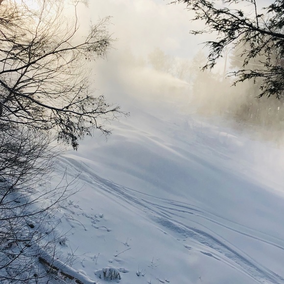 Profile Picture of Jiawei Liu (@jol5251) on Poshmark