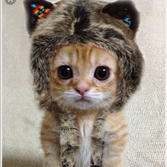 Profile Picture of Dana Singh (@txdana1) on Poshmark