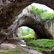 Profile Picture of Daniel Elston (@TheThornsofBlood) on Youtube