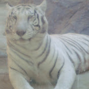 Profile Picture of Nancy Salcedo (@nancysalcedo8245) on Youtube