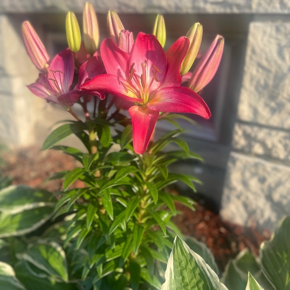 Profile Picture of Eli Cerda (@yarizmom0725) on Poshmark