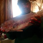 Profile Picture of Benjamin McClary (@mcclarybenjamin) on Instagram