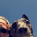 Profile Picture of 4520 (@caseypage12) on Instagram