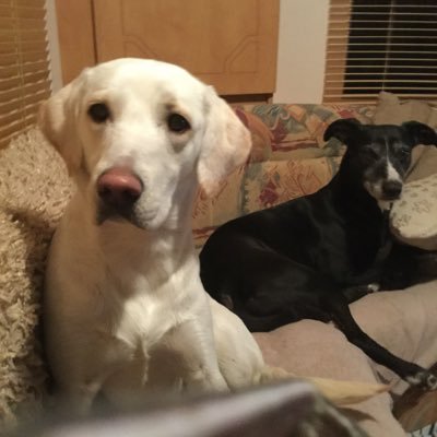 Profile Picture of Gracie Matthews (@graciem06804283) on Twitter