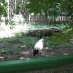 Profile Picture of Markunas Getsinger (@markunas_ge) on Instagram