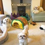 Profile Picture of Carol Hodson (@hooked.on.pippin) on Instagram