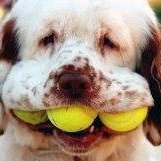 Profile Picture of Mark O'brian (@MarkHedrick5) on Twitter