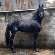 Profile Picture of Tito Daniel Morales (@TitoDanielMorales) on Youtube