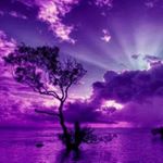 Profile Picture of Nikki Newton (@nikki.rae0308) on Instagram