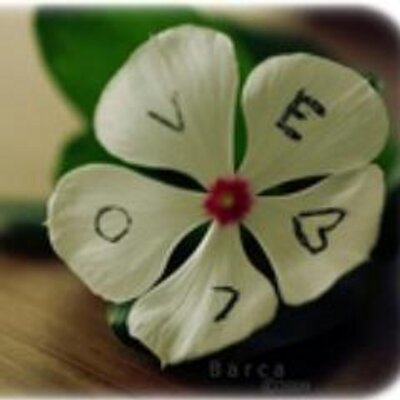 Profile Picture of Thanh Huynh (@thanhhuynh11) on Twitter