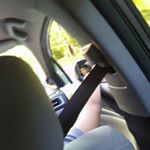 Profile Picture of Brian Orcutt (@idonthaveagoodnick) on Instagram
