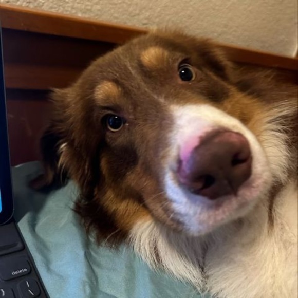 Profile Picture of Aaron Knell (@aaronknell) on Poshmark