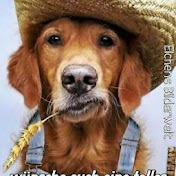 Profile Picture of Mandy Kohl (@mandykohl8906) on Youtube