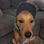 Profile Picture of Greg Bauer (@greg.bauer.942) on Instagram