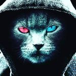 Profile Picture of Nicolas Šustr (@nicolas.sustr.7) on Instagram