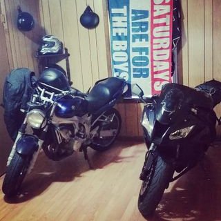 Profile Picture of Josh Rhyne (@rhyne_josh) on Twitter