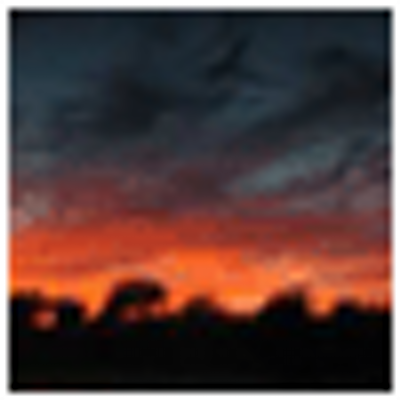 Profile Picture of Shirley Tanner (@tanner_shirley) on Twitter