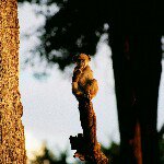 Profile Picture of Alex Condon (@acon1317) on Instagram