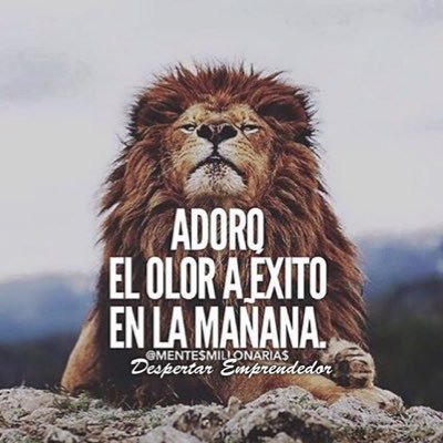 Profile Picture of RICARDO JIMENEZ INIESTA (@perro_richard) on Twitter