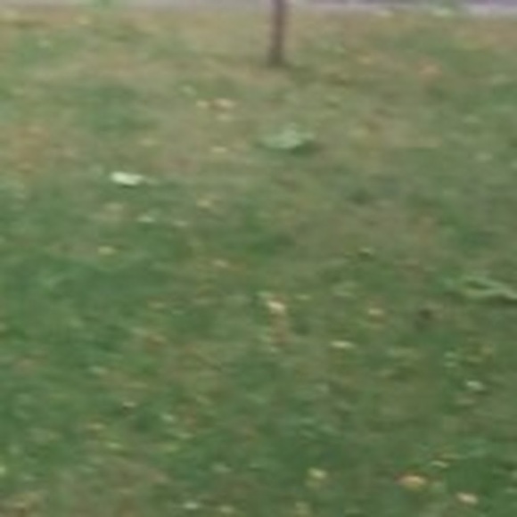 Profile Picture of Jefferson Jung (@jeff9201) on Poshmark