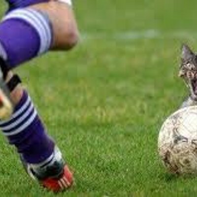 Profile Picture of David Covarrubias (@dave_cov05) on Twitter